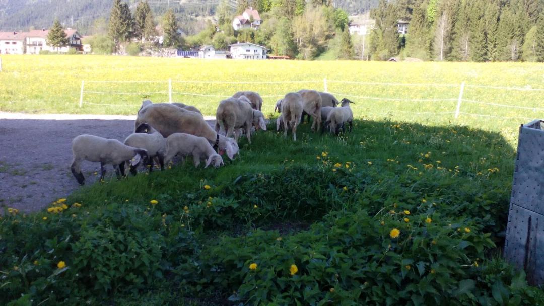 Photo of Others in Reutte