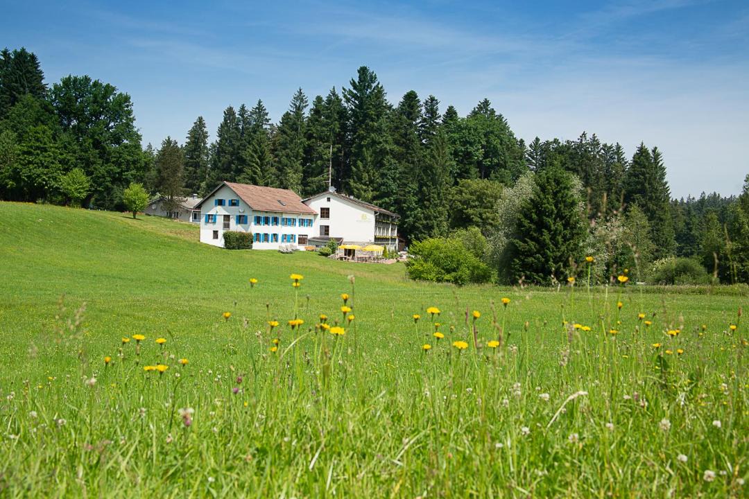 Photo of Others in Scheidegg