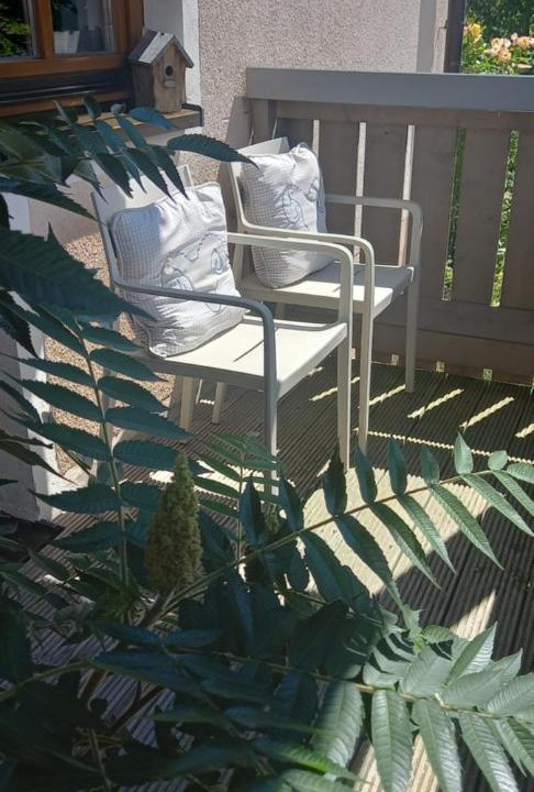 Photo of Patio Balcony in Windischeschenbach