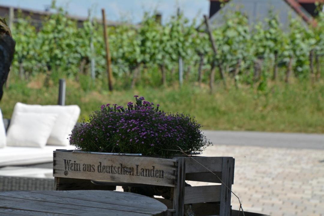 Photo of Others in Sommerhausen