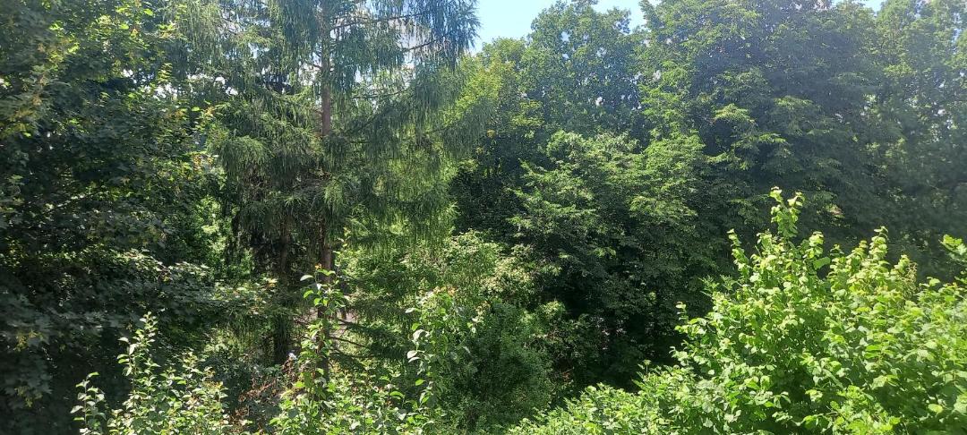Photo of Outdoor in Windischeschenbach