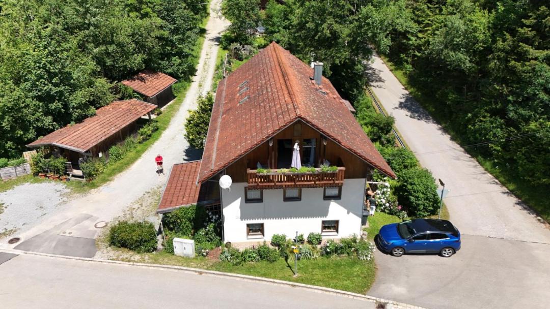 Photo of Others in Purgl