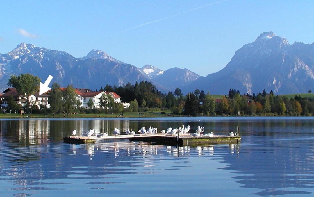 Photo of Others in Hopfen am See