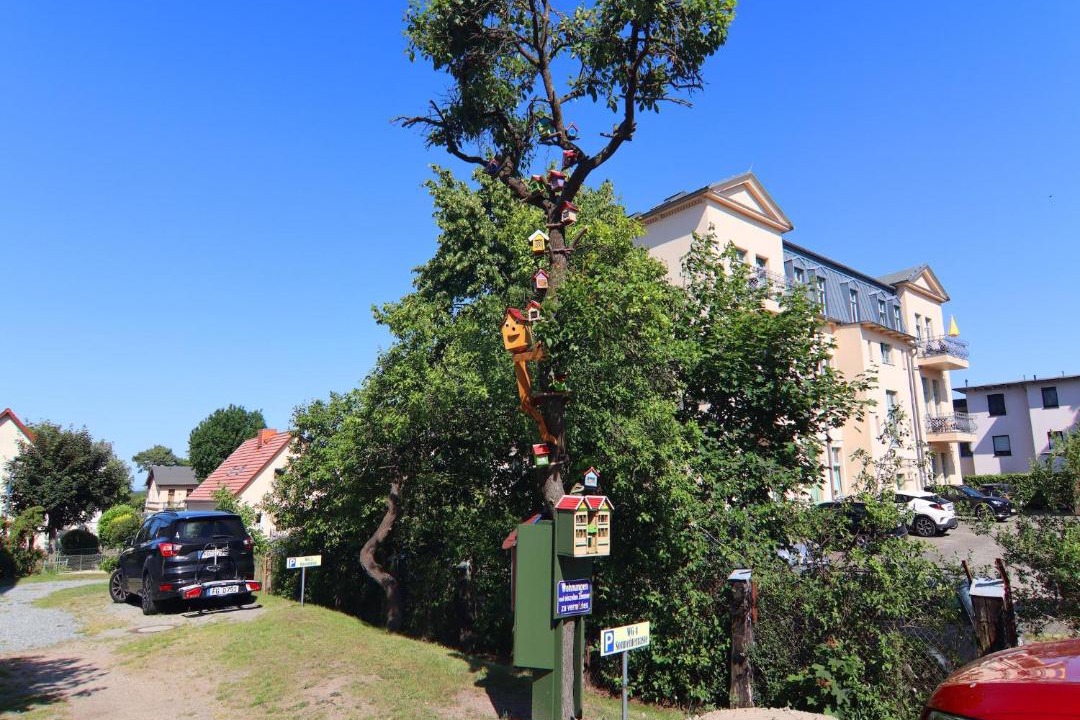 Photo of Others in Ahlbeck
