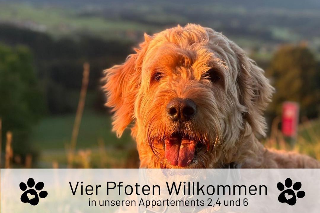 Photo of Others in Meilingen