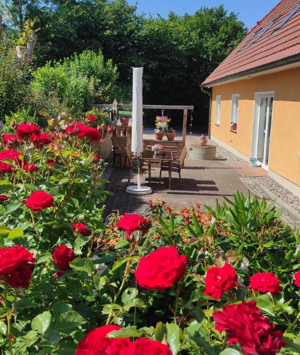 Photo of Others in Steffenshagen