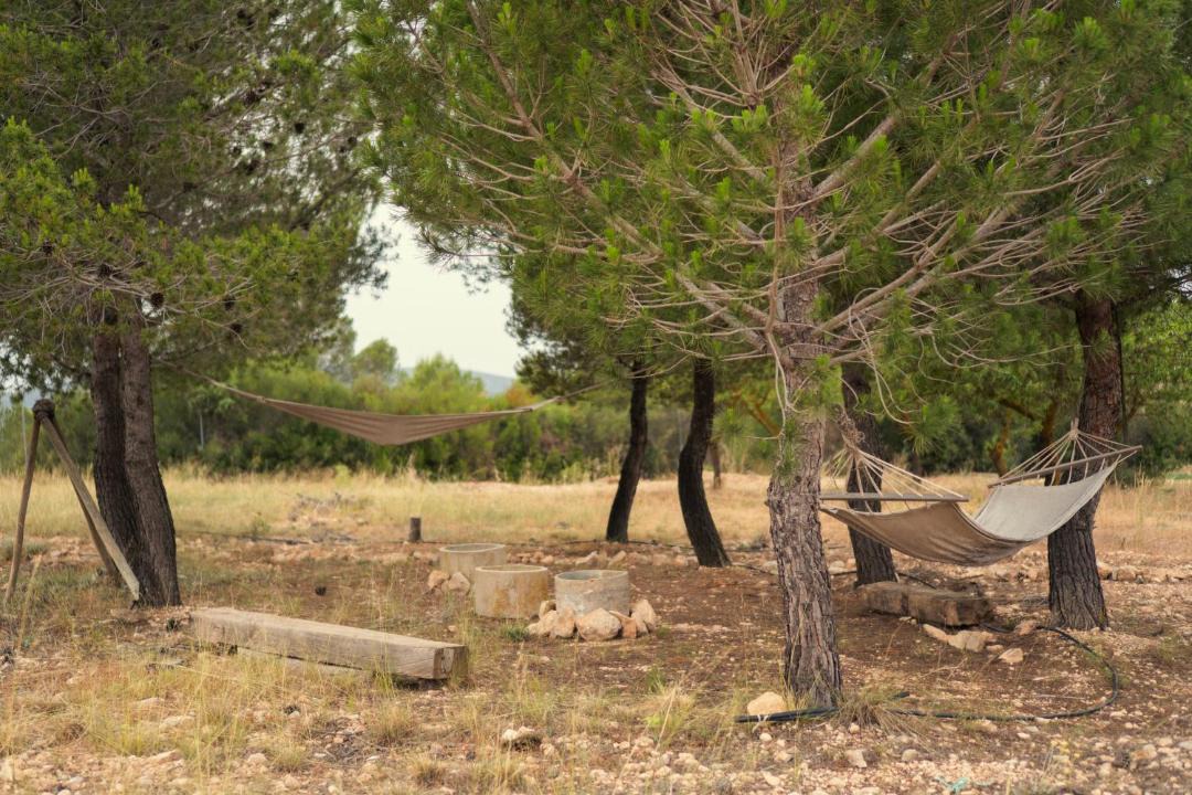 Photo of Outdoor in Yecla