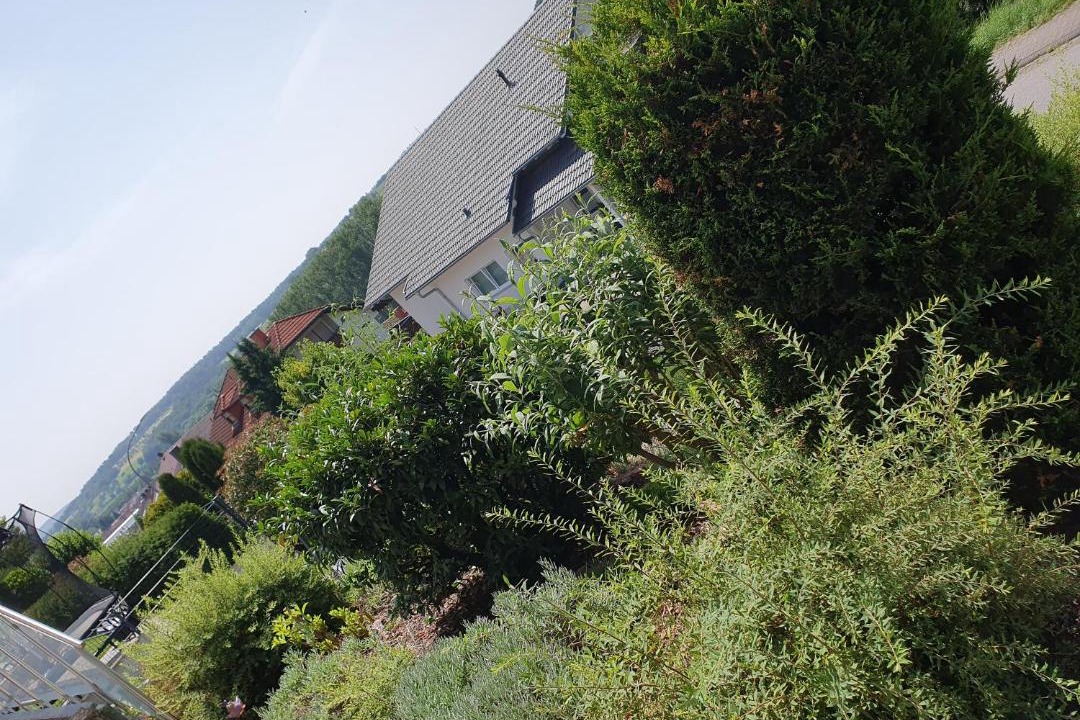 Photo of Others in Eisenbach