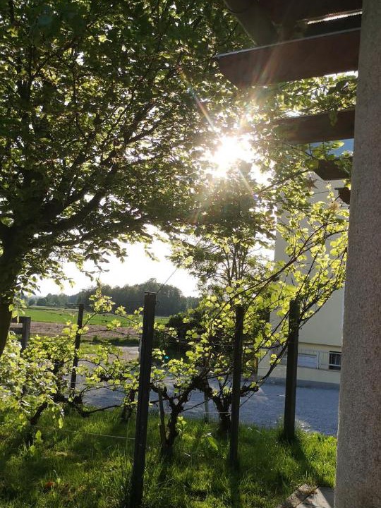 Photo of Others in Wiesent