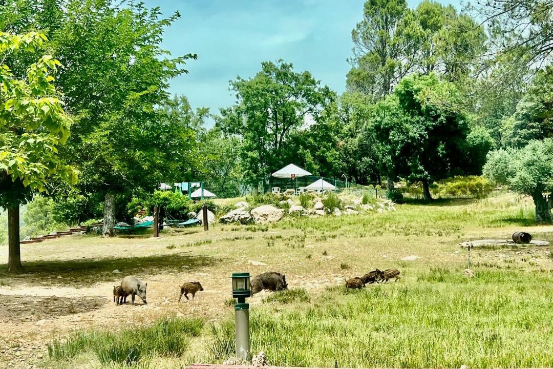 Photo of Others in La Iruela