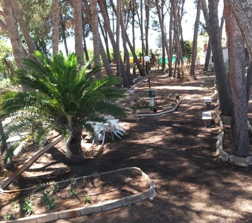 Photo of Outdoor in Hellin