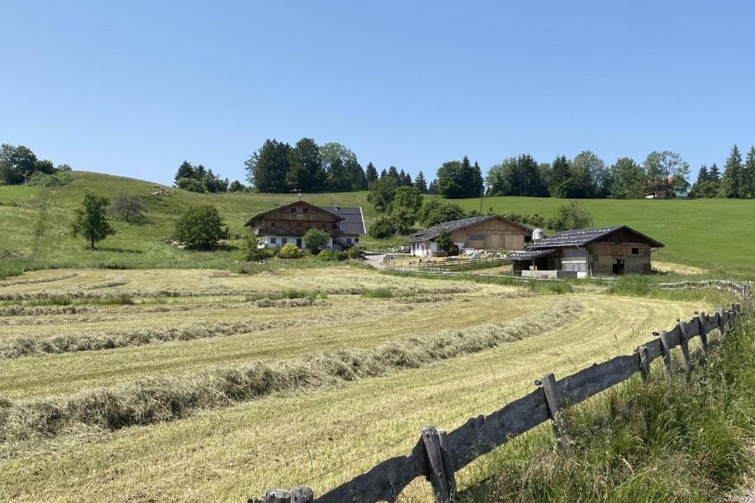 Photo of Others in Bernbeuren