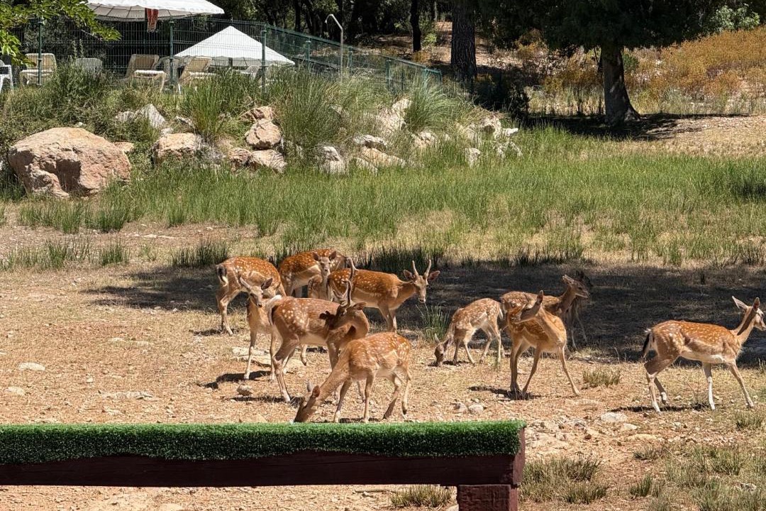 Photo of Others in La Iruela