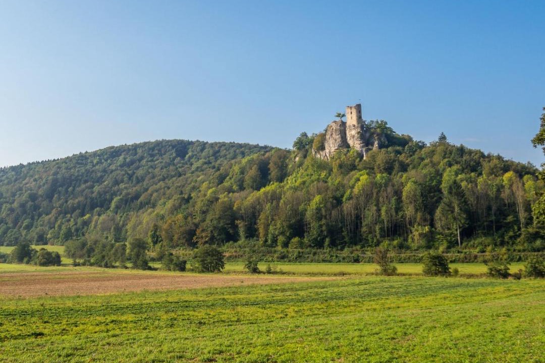 Photo of Others in Mistelgau