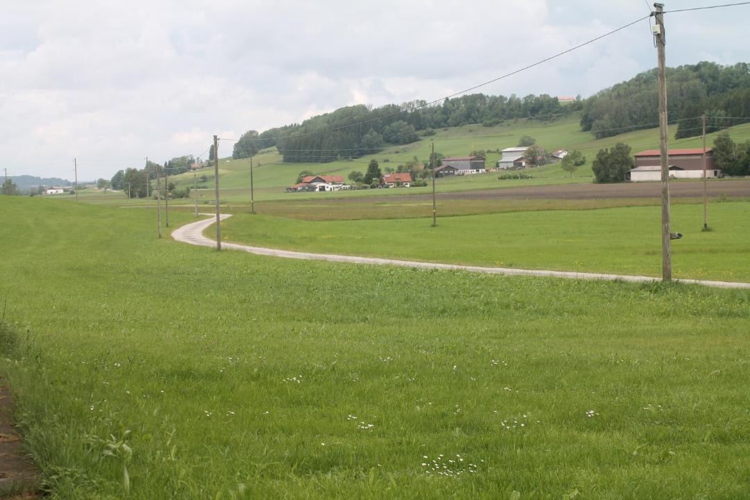 Photo of Others in Untrasried