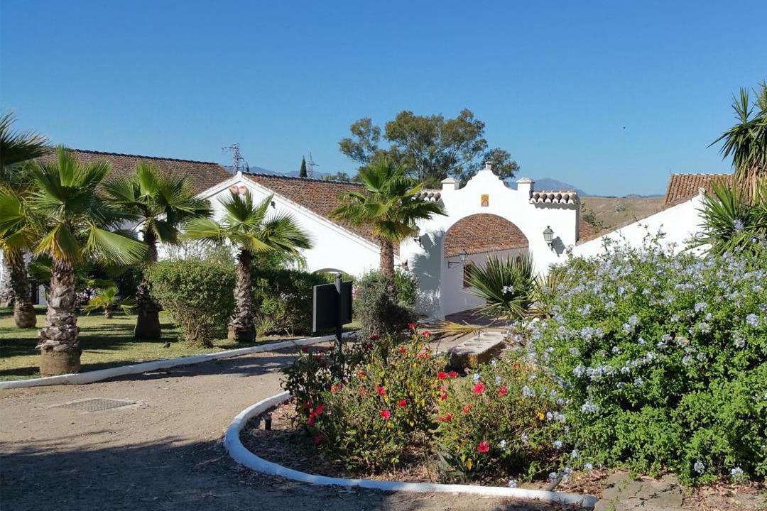 Photo of Others in Pizarra