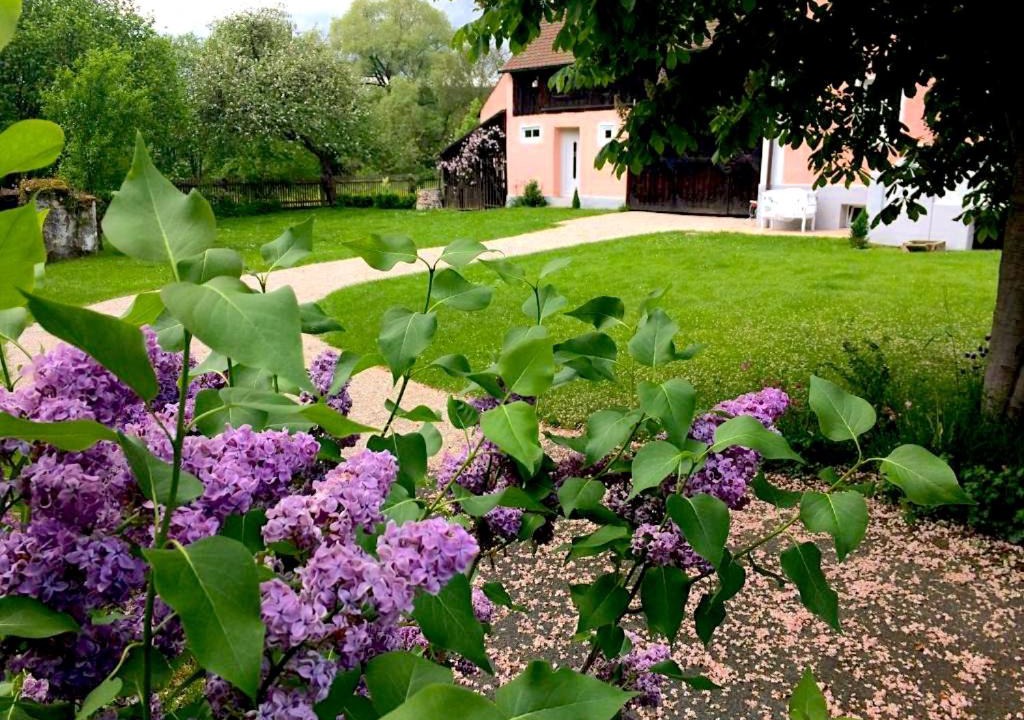 Photo of Outdoor in Schnabelwaid