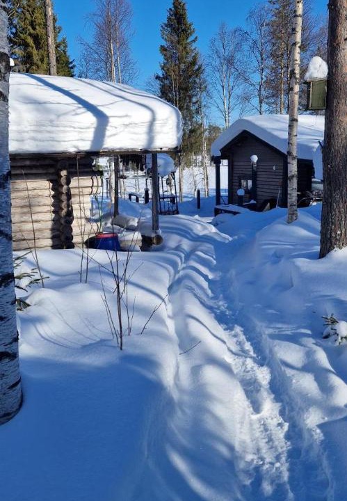 Photo of Others in Rovaniemi