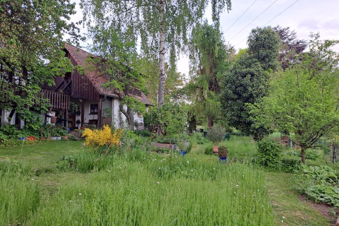 Photo of Others in Betzenstein