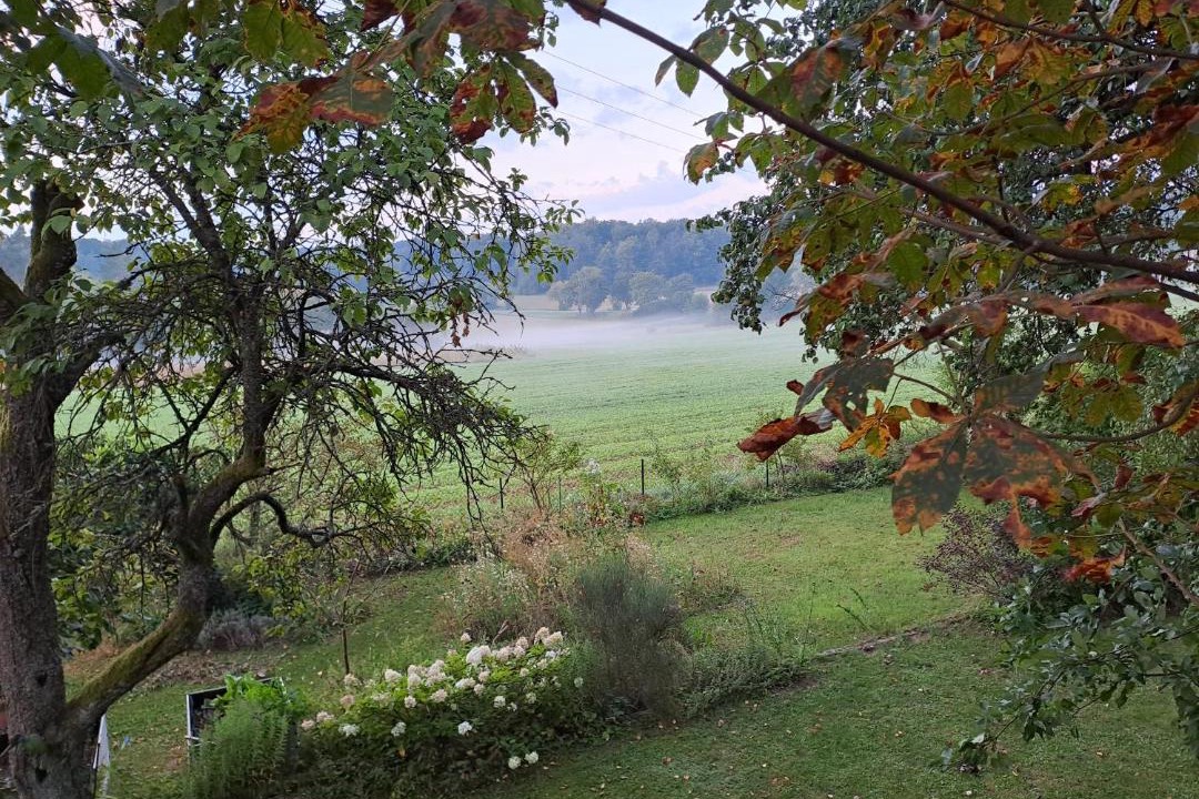 Photo of Others in Betzenstein