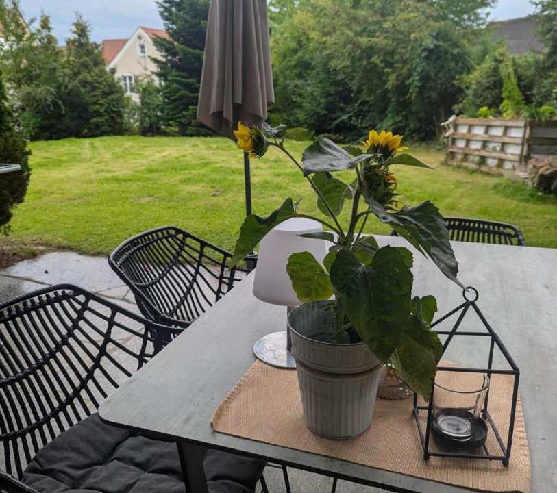 Photo of Patio Balcony in Windischeschenbach