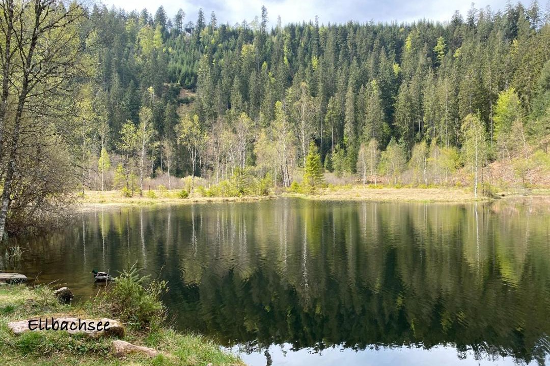 Photo of Others in Kniebis