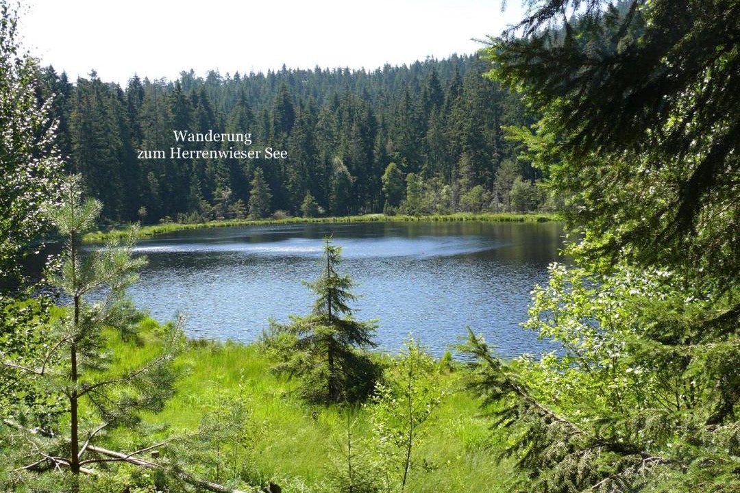 Photo of Others in Kniebis