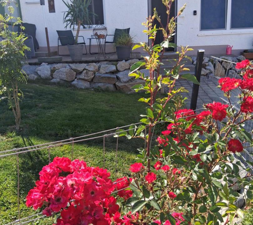 Photo of Others in Reisbach