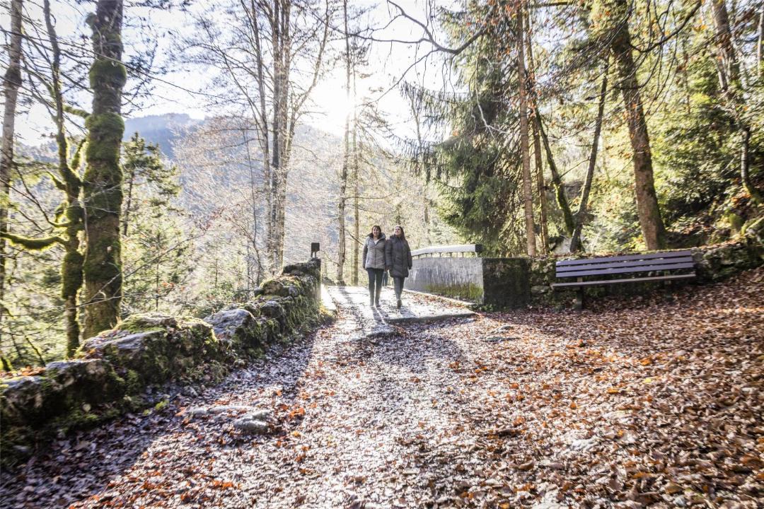 Photo of Others in Oberaudorf