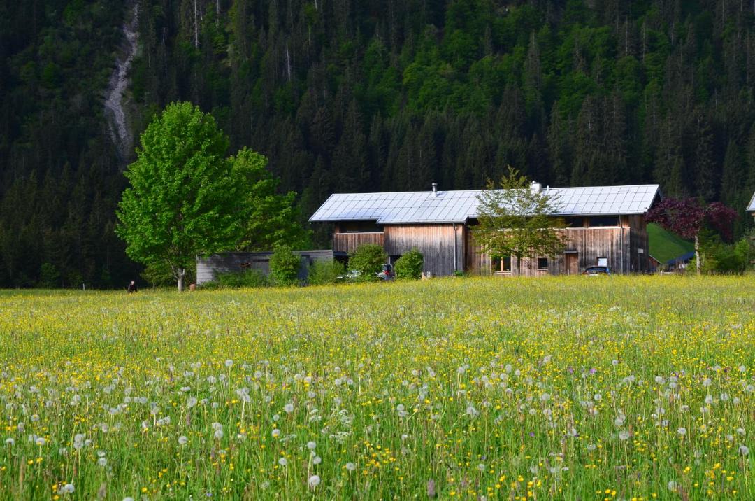 Photo of Others in Mittelberg