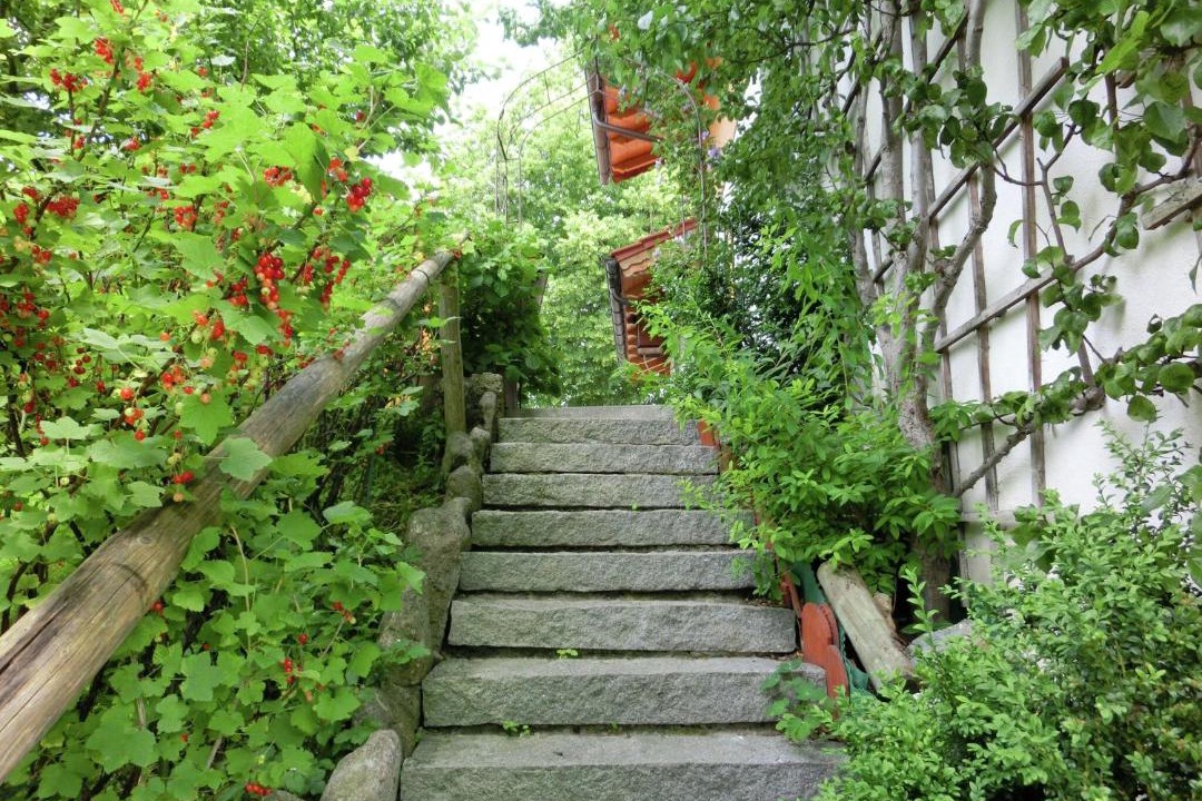 Photo of Others in Bad Bayersoien