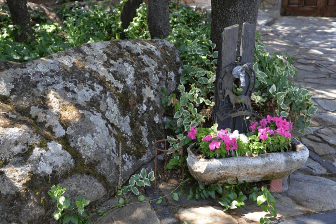 Photo of Others in Galapagar