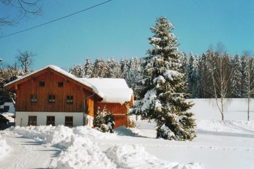 Photo of Others in Viechtach