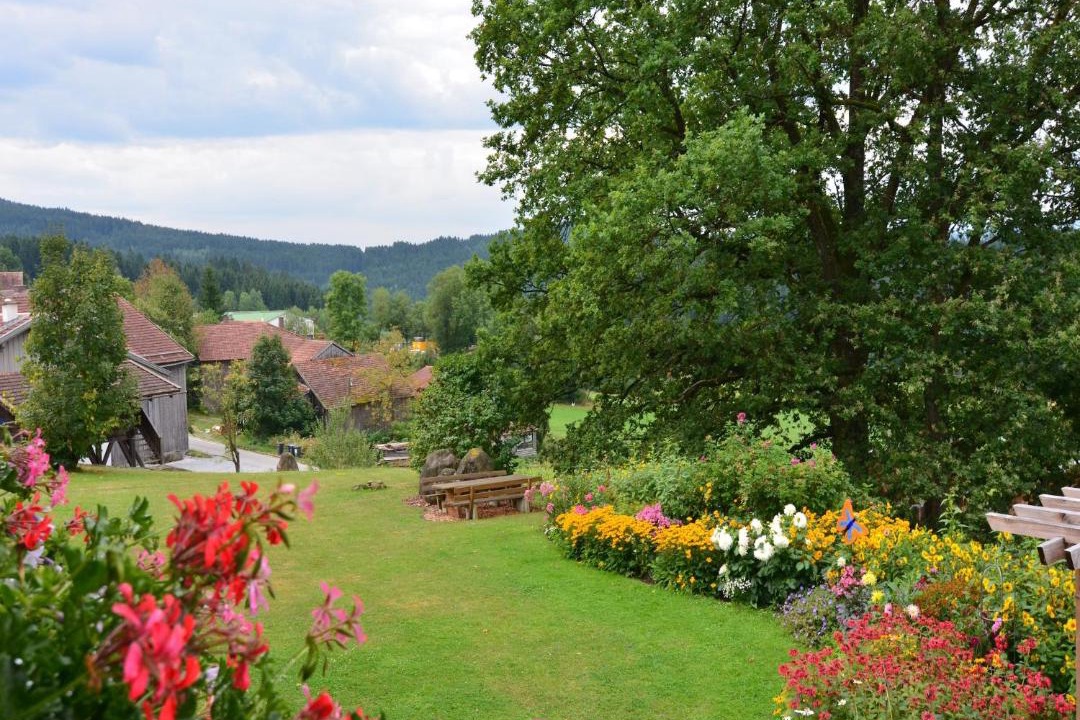 Photo of Others in Grafenried