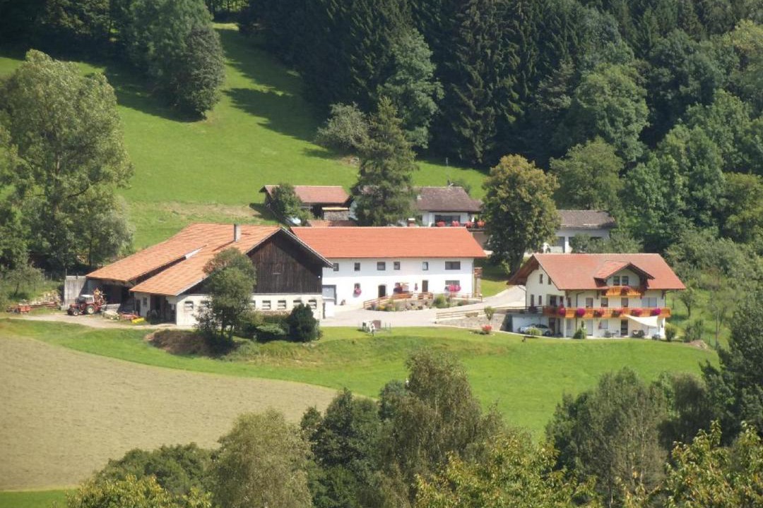 Photo of Buildings in Maibrunn