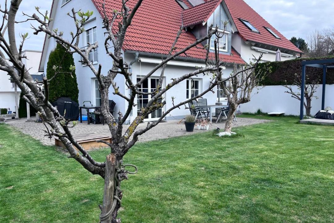 Photo of Others in Weissenburg in Bayern