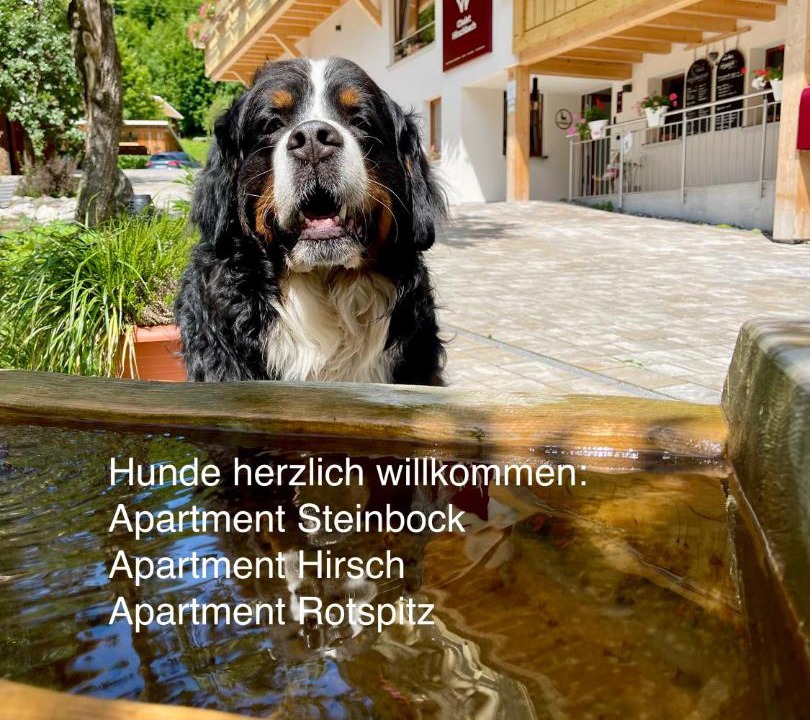 Photo of Others in Bad Hindelang