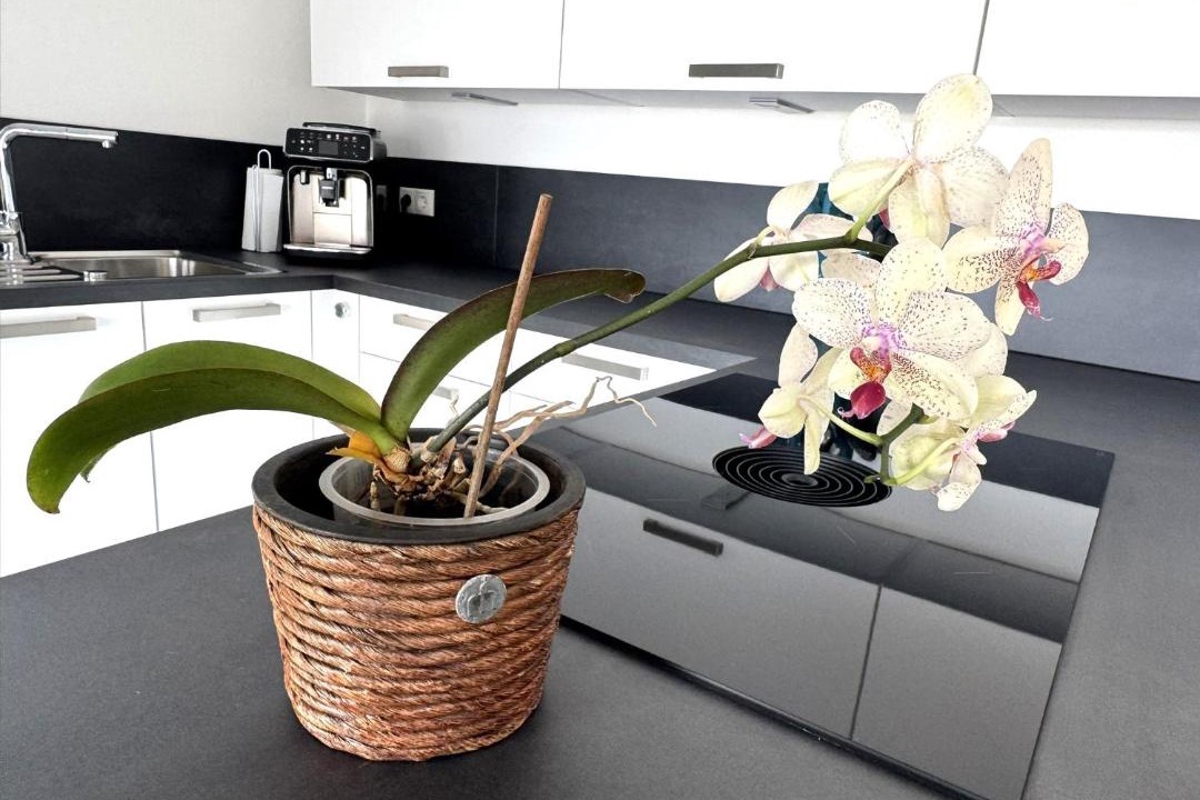 Photo of Kitchen in Unteraurach