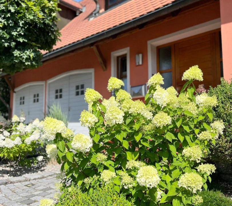 Photo of Others in Breitenguessbach