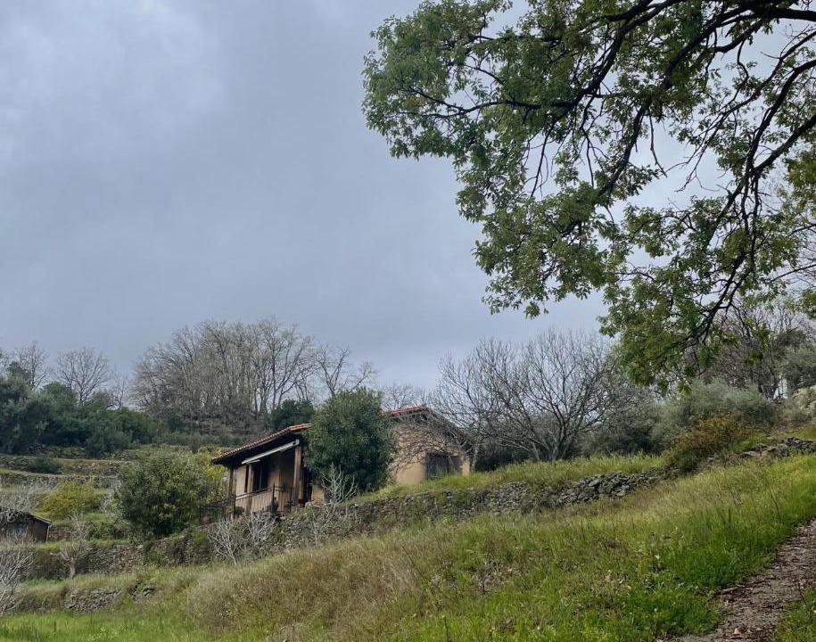 Photo of Others in Torremenga
