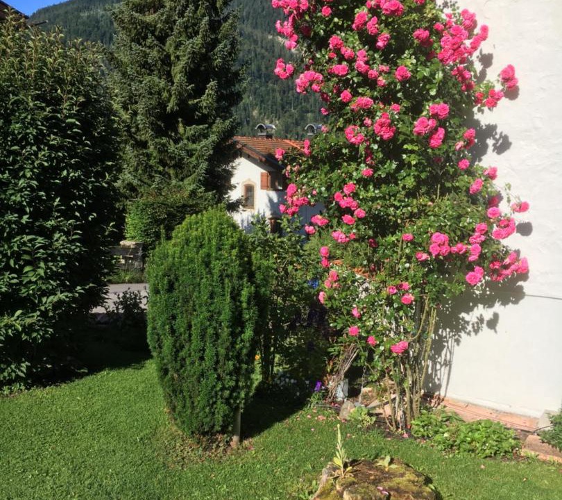 Photo of Others in Bayrischzell