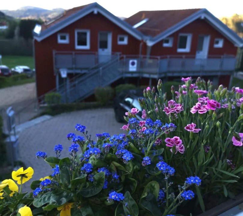 Photo of Others in Purgl