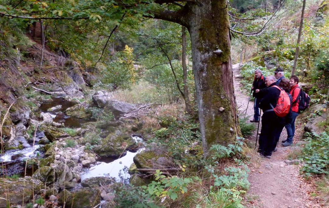 Photo of Others in Witzmannsberg