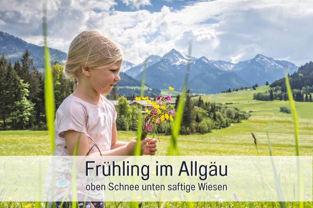 Photo of Others in Blaichach