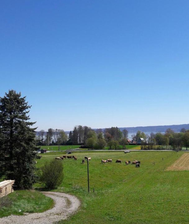 Photo of Others in Riederau