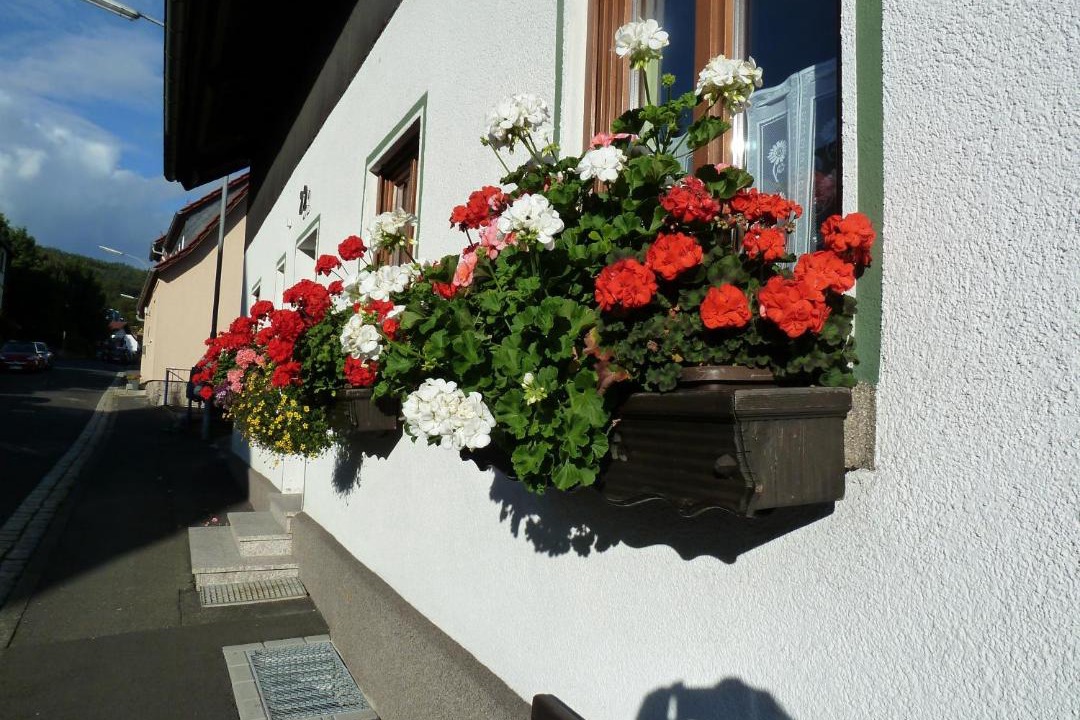 Photo of Others in Bad Brueckenau
