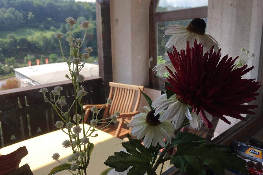 Photo of Patio Balcony in Bad Brueckenau
