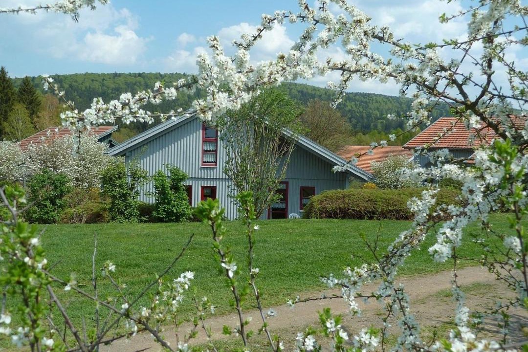 Photo of Others in Waldmuenchen