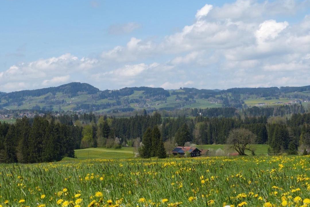 Photo of Others in Sulzberg