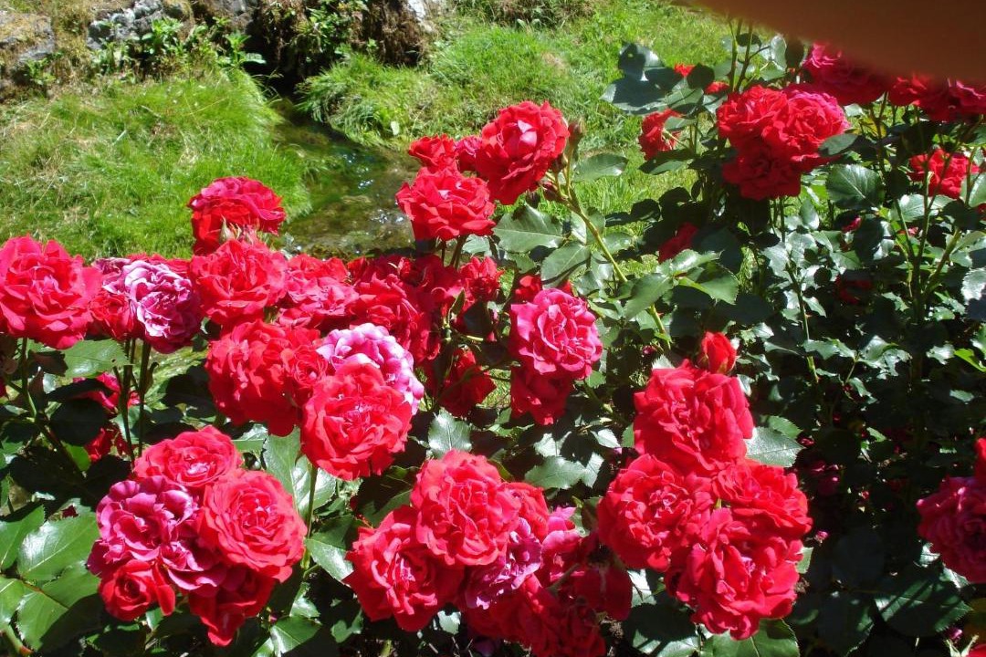 Photo of Outdoor in Groenohe
